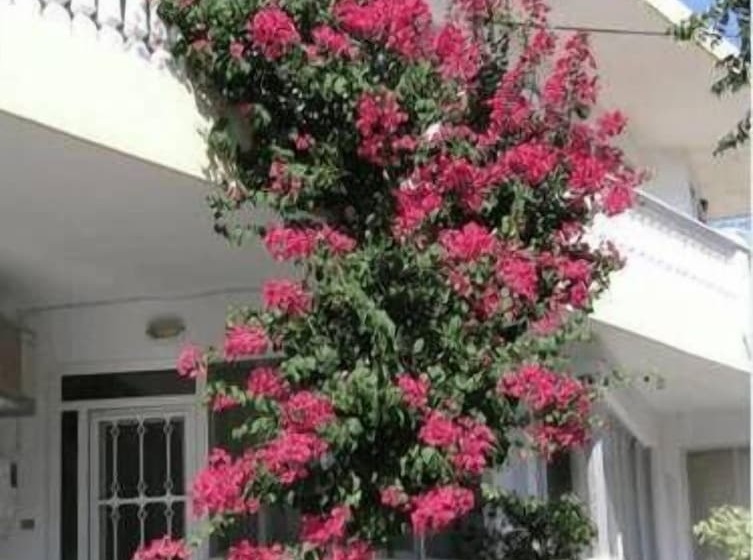 Haraki Memories Beach Studios