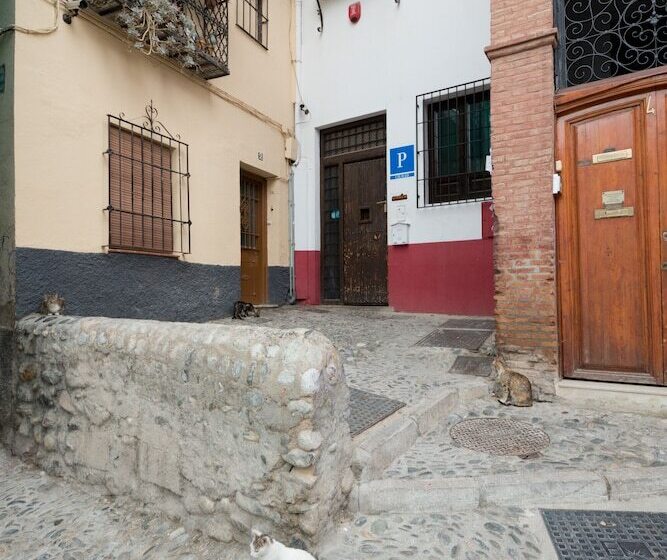 Oasis Backpackers  Hostel Granada