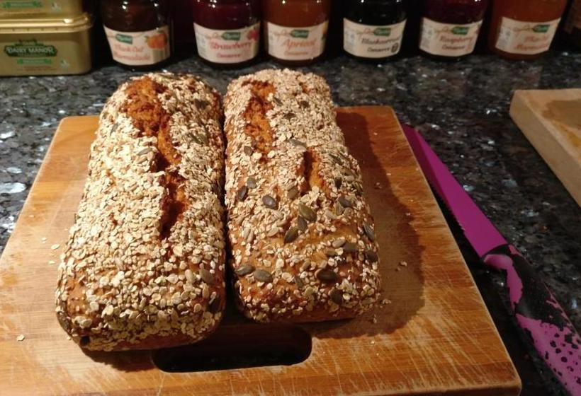 The Old Mill Holiday Hostel