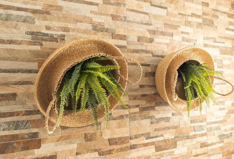 Picnic Dreams Boutique Hostel