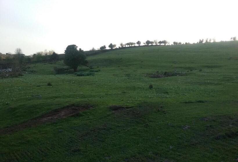 Rocksberry Bed & Breakfast