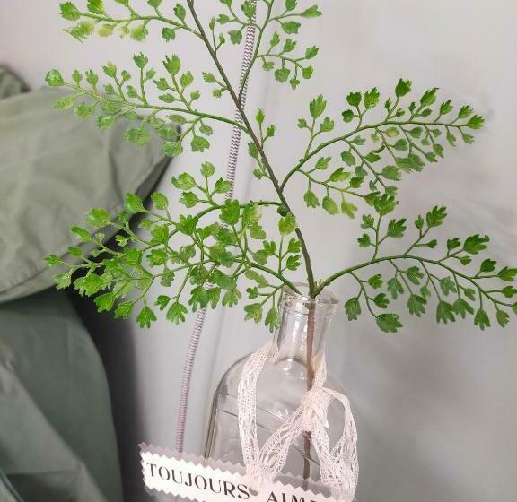 Bed and Breakfast Agréable Chambre Cosy