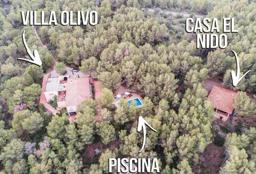 Bed and Breakfast Aldeamia, Forest, Mountain View, Beach At 8 Min