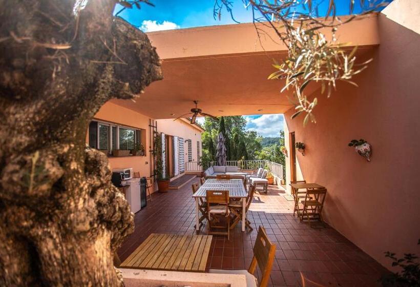 Bed and Breakfast Aldeamia, Forest, Mountain View, Beach At 8 Min