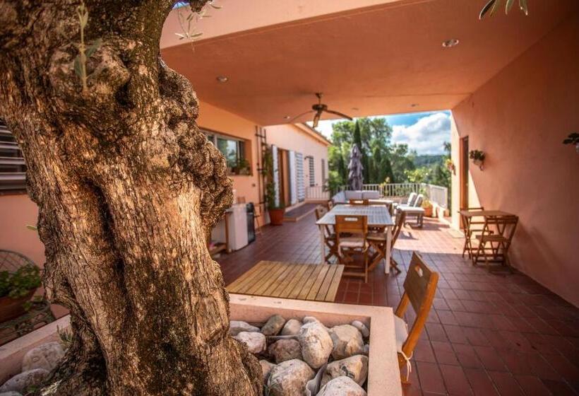 Bed and Breakfast Aldeamia, Forest, Mountain View, Beach At 8 Min