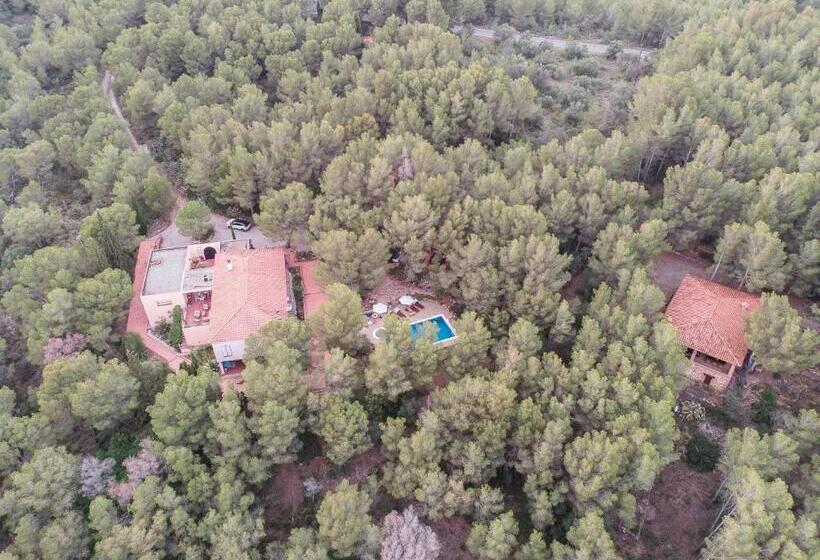 Bed and Breakfast Aldeamia, Forest, Mountain View, Beach At 8 Min