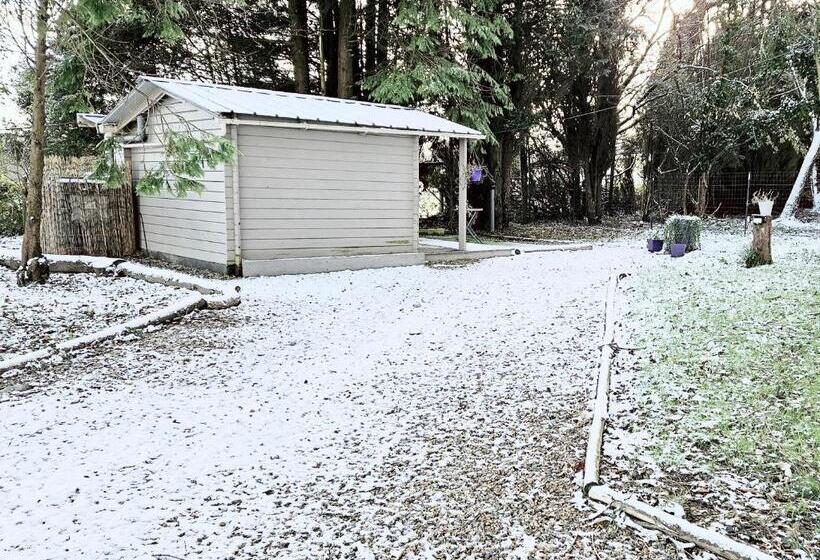 Bed and Breakfast Cabane 5km Etretat