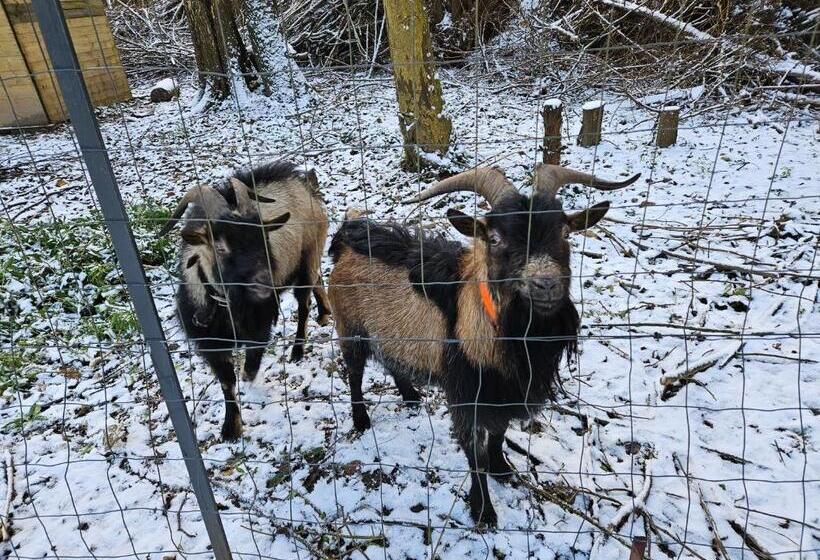 Bed and Breakfast Cabane 5km Etretat