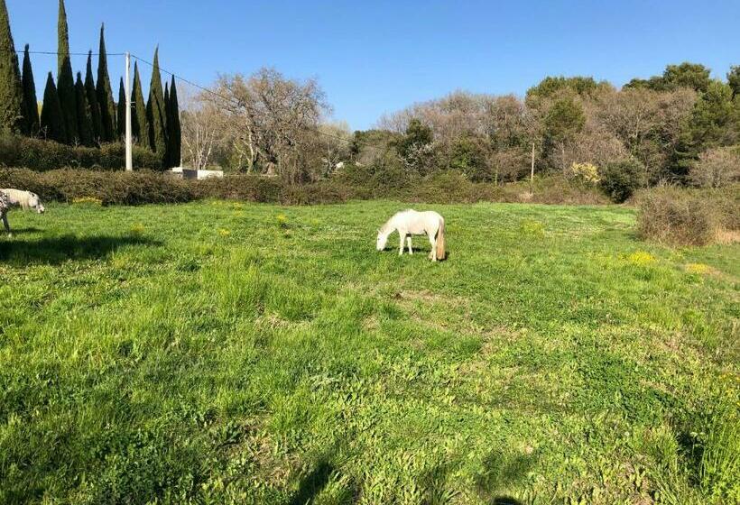 민박 Chambre Hôtes Les Garrigues Cucuron