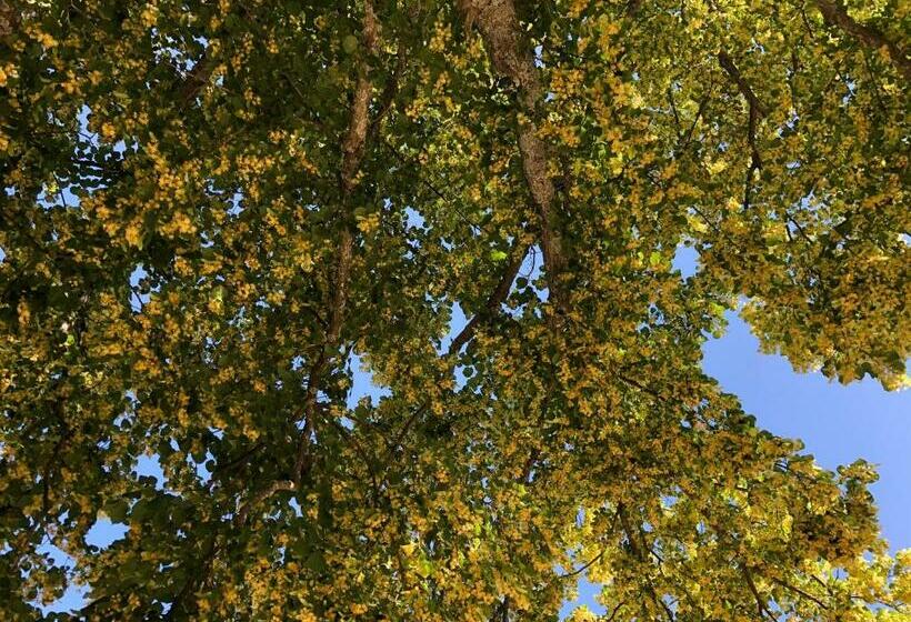 민박 Chambre Hôtes Les Garrigues Cucuron