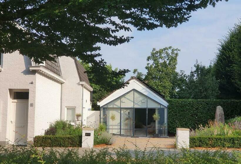 Bed And Breakfast En Studio Het Atelier