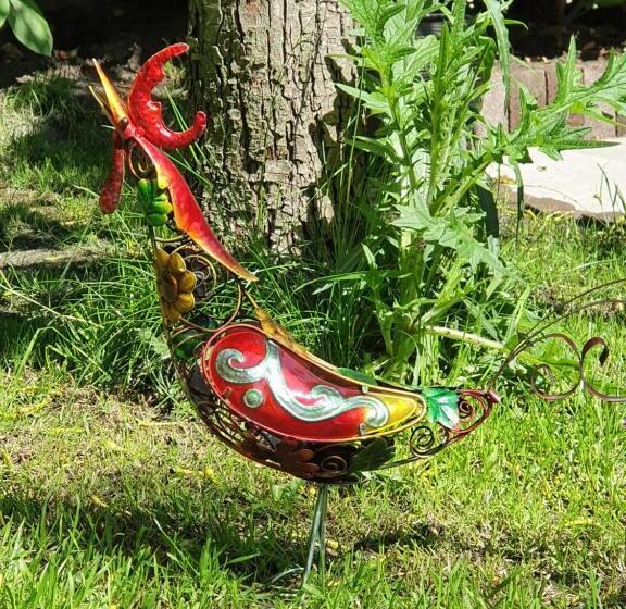 Bed And Breakfast En Studio Het Atelier