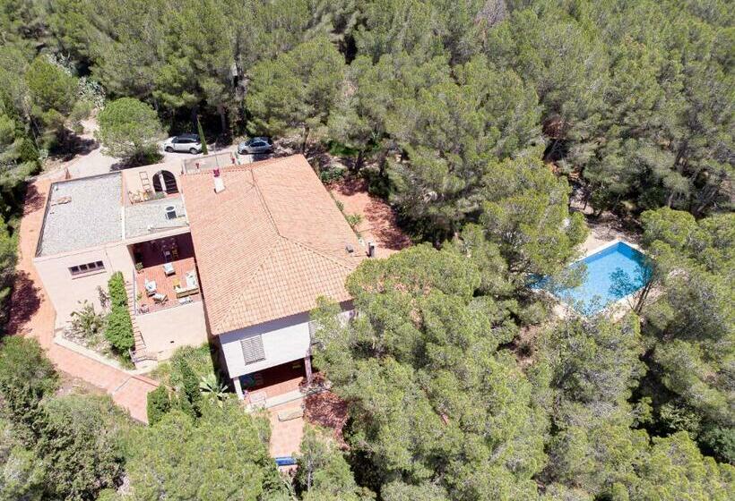 Bed and Breakfast Aldeamia, Forest, Mountain View, Beach At 8 Min