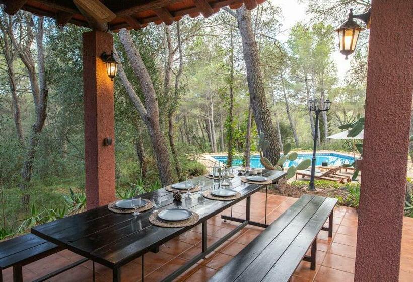 Bed and Breakfast Aldeamia, Forest, Mountain View, Beach At 8 Min
