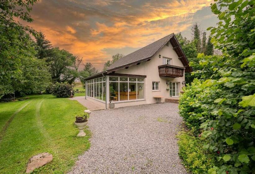 住宿加早餐 Logement De Blauwe Reiger