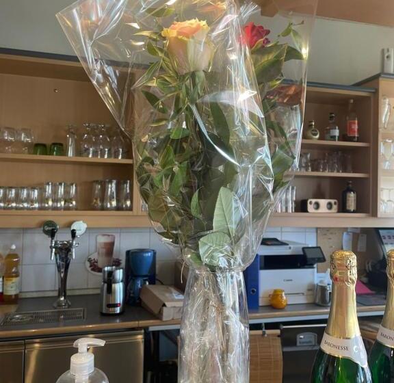 ベッドアンドブレックファースト Pension Seeblick Purbach