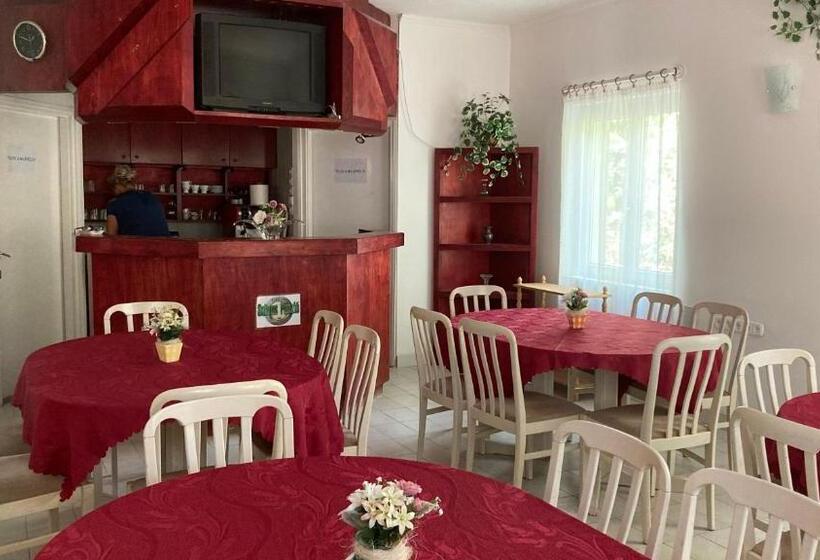 צימר Salvus Panzió