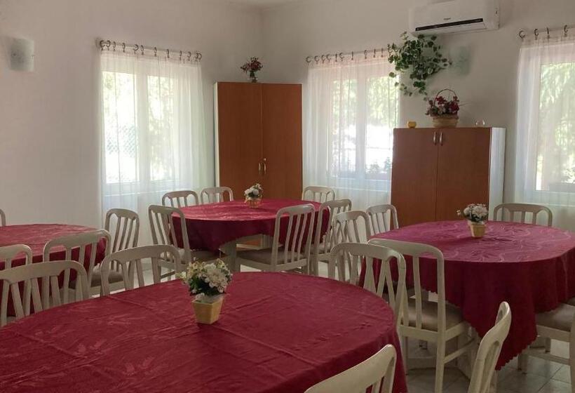 مبيت وإفطار Salvus Panzió