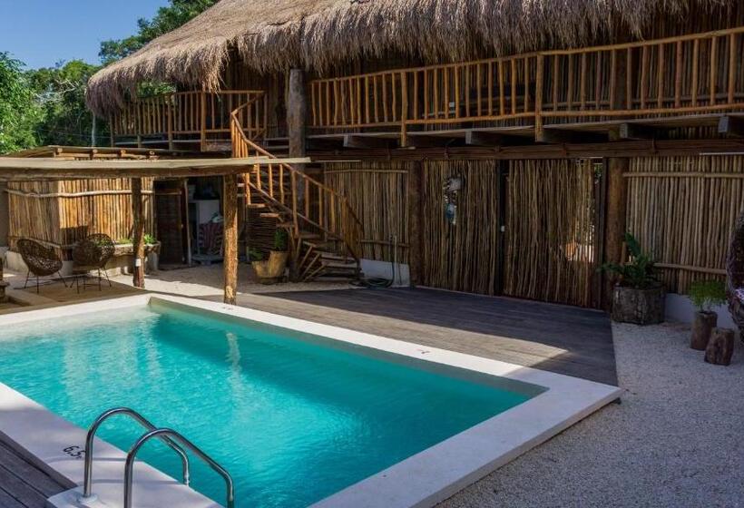 ホテル Jungla Y Estrellas