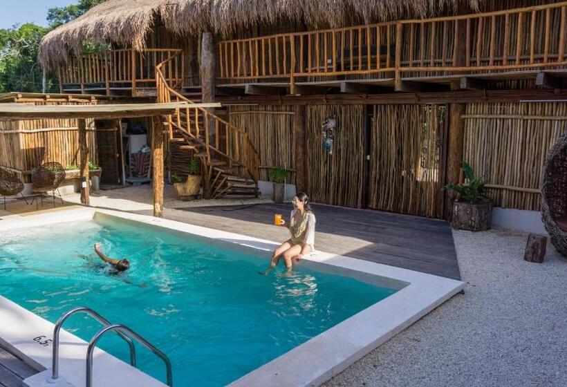 ホテル Jungla Y Estrellas