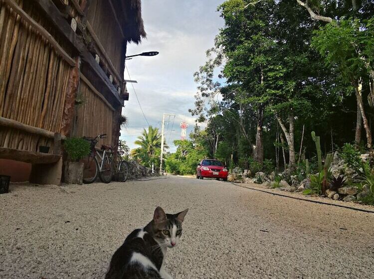 ホテル Jungla Y Estrellas