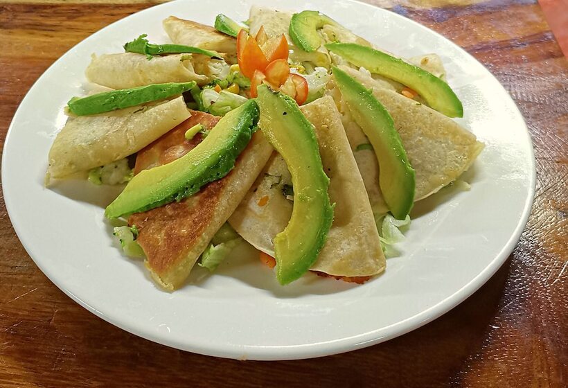 ホテル Jungla Y Estrellas