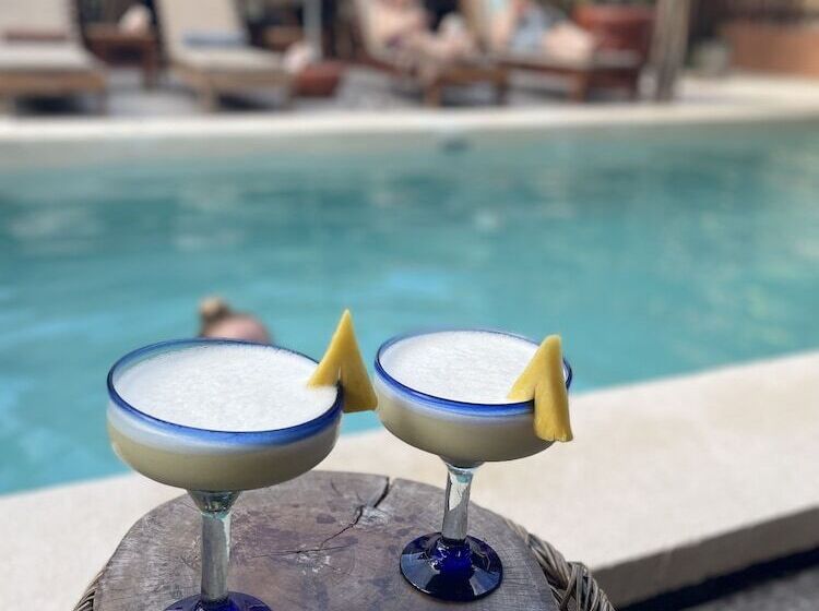 ホテル Jungla Y Estrellas