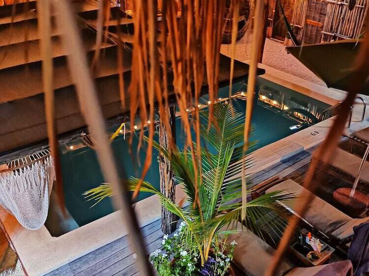 ホテル Jungla Y Estrellas