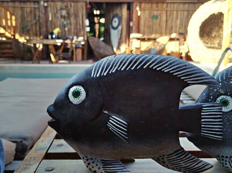 ホテル Jungla Y Estrellas