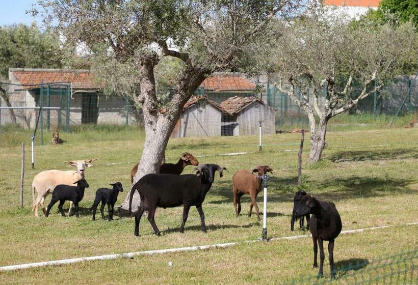 ホテル Quinta Dos Patos