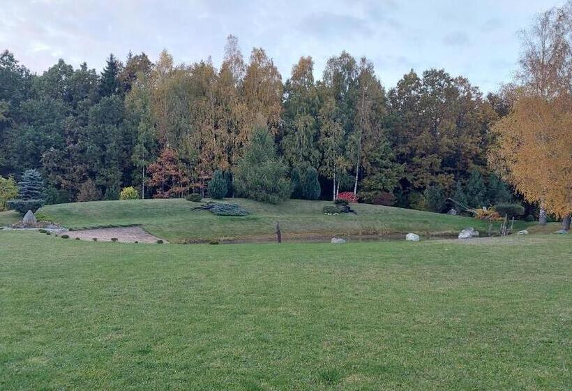 هتل Stay At Svaja