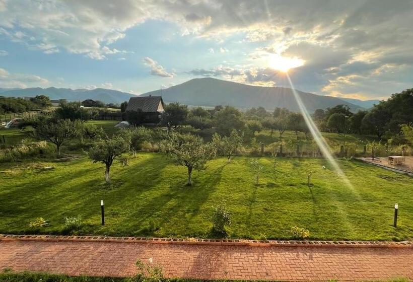 פנסיון Cabana Chalet Transylvania