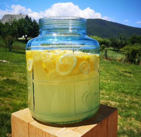 פנסיון Cabana Chalet Transylvania