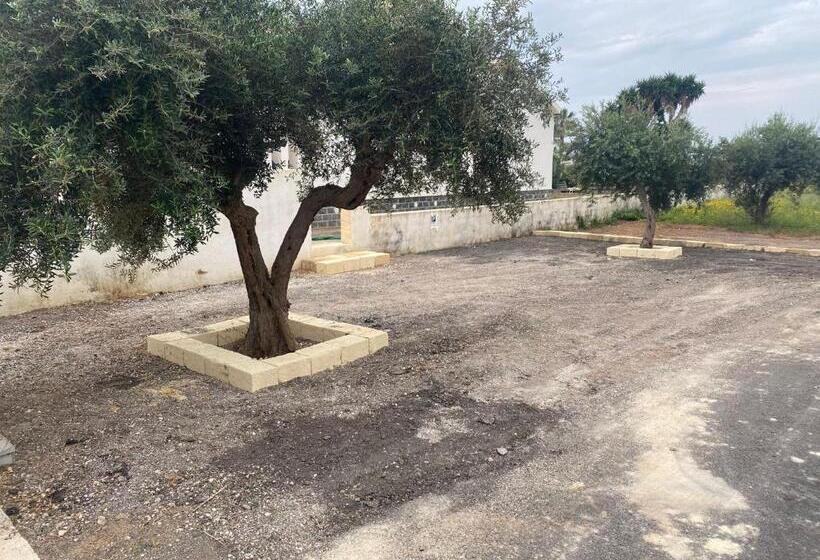 بنسيون Case Vacanze Giovanna