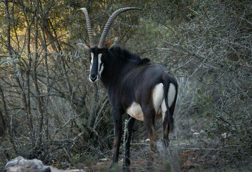 ペンション De Cango Farm