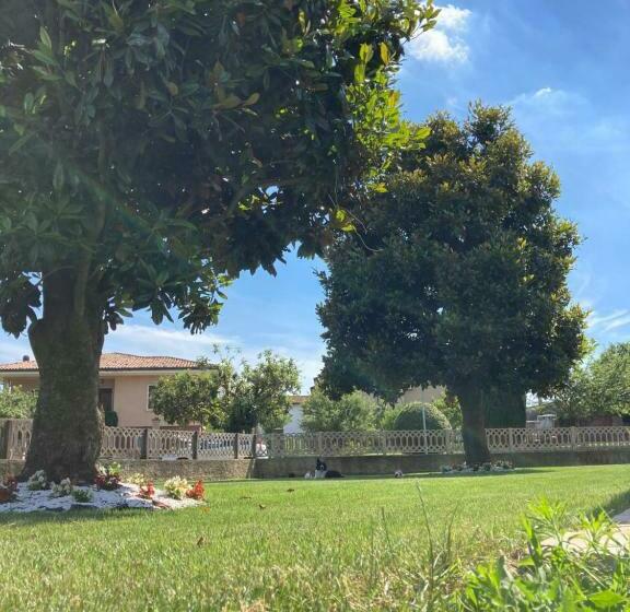 بنسيون Due Magnolie