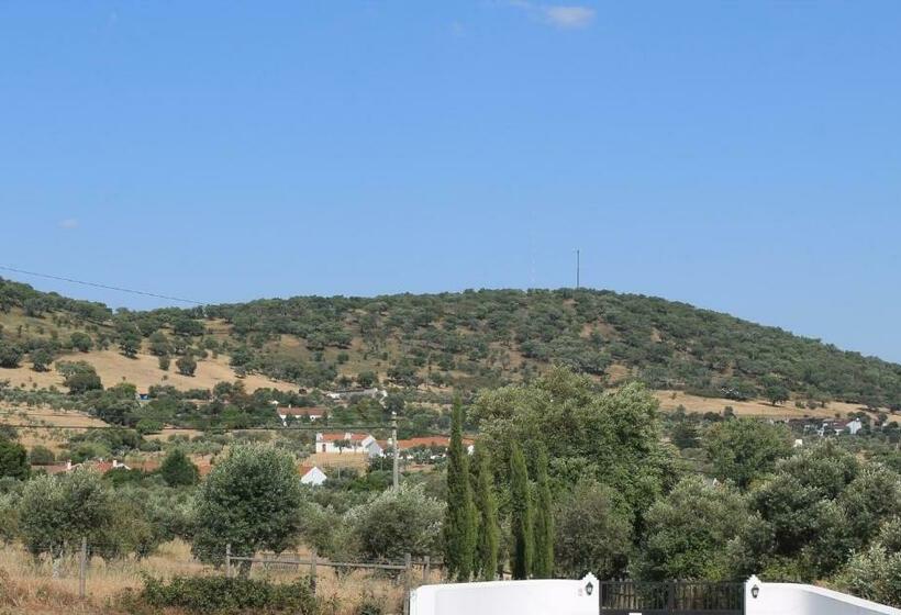 بنسيون Girassol Alojamento Local