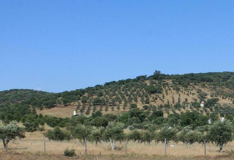 بنسيون Girassol Alojamento Local