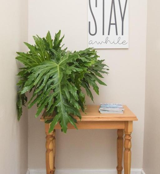 بنسيون Hoogwater Family House