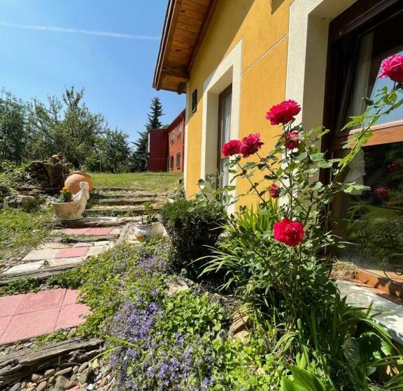 פנסיון Hostel Arenos