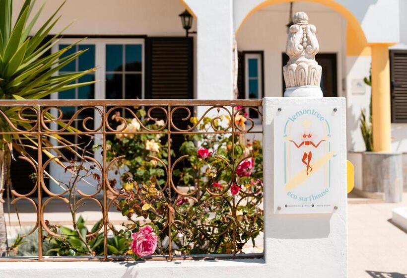 بنسيون Lemontree Eco Surfhouse