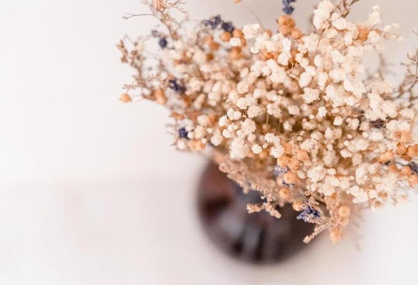 بنسيون Lemontree Eco Surfhouse