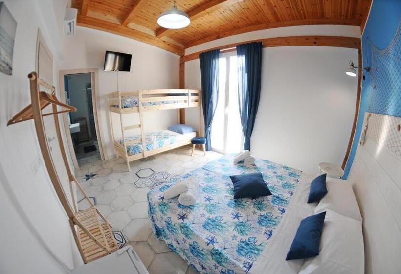 膳宿费 Maison C&g