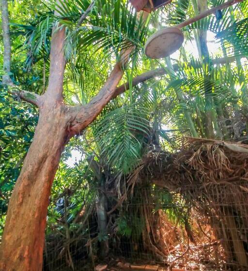 پانسیون Pousada Albergo Dei Fiori