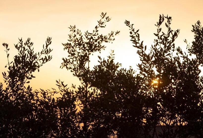 פנסיון Terrazze Sulla Valle