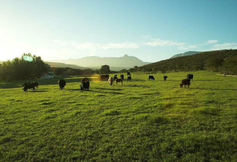 بنسيون Zeekoegat Historical Homestead