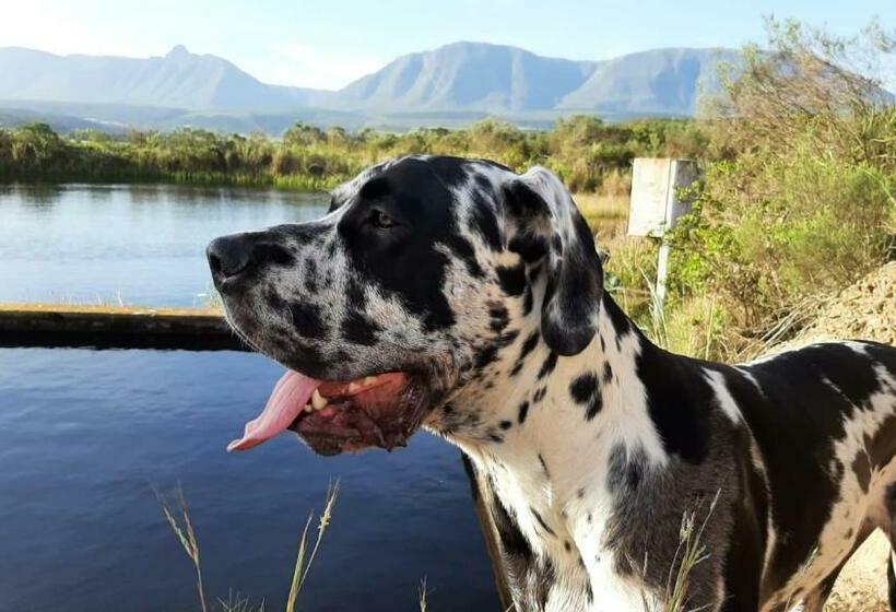 بنسيون Zeekoegat Historical Homestead