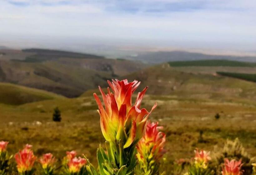 بنسيون Zeekoegat Historical Homestead