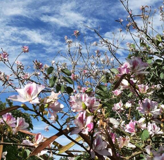 بنسيون Zeekoegat Historical Homestead