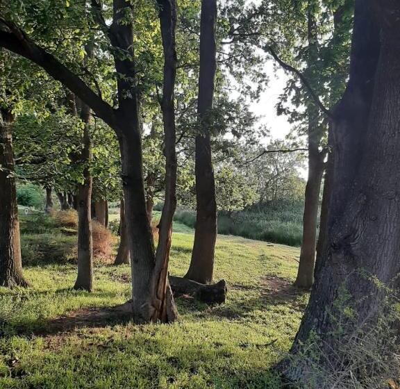 بنسيون Zeekoegat Historical Homestead